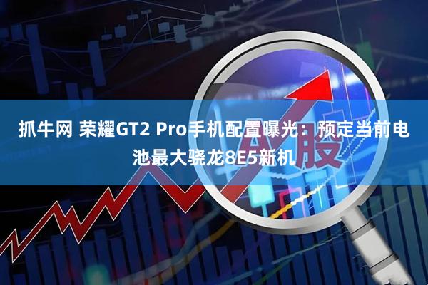 抓牛网 荣耀GT2 Pro手机配置曝光：预定当前电池最大骁龙8E5新机